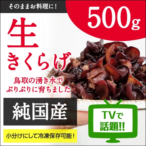 生きくらげ500gサムネ