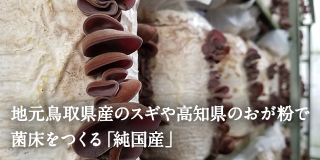 地元鳥取県産のスギや高知県のおが粉で菌床をつくる「純国産キクラゲ」