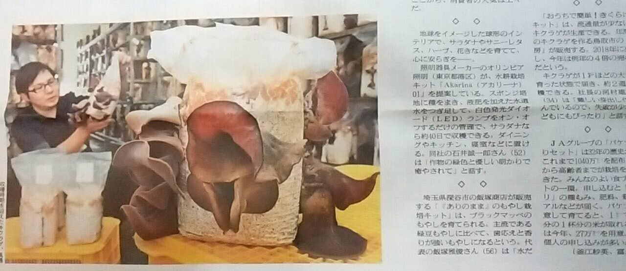 日本農業新聞にきくらげ栽培キットを取り上げていただきました