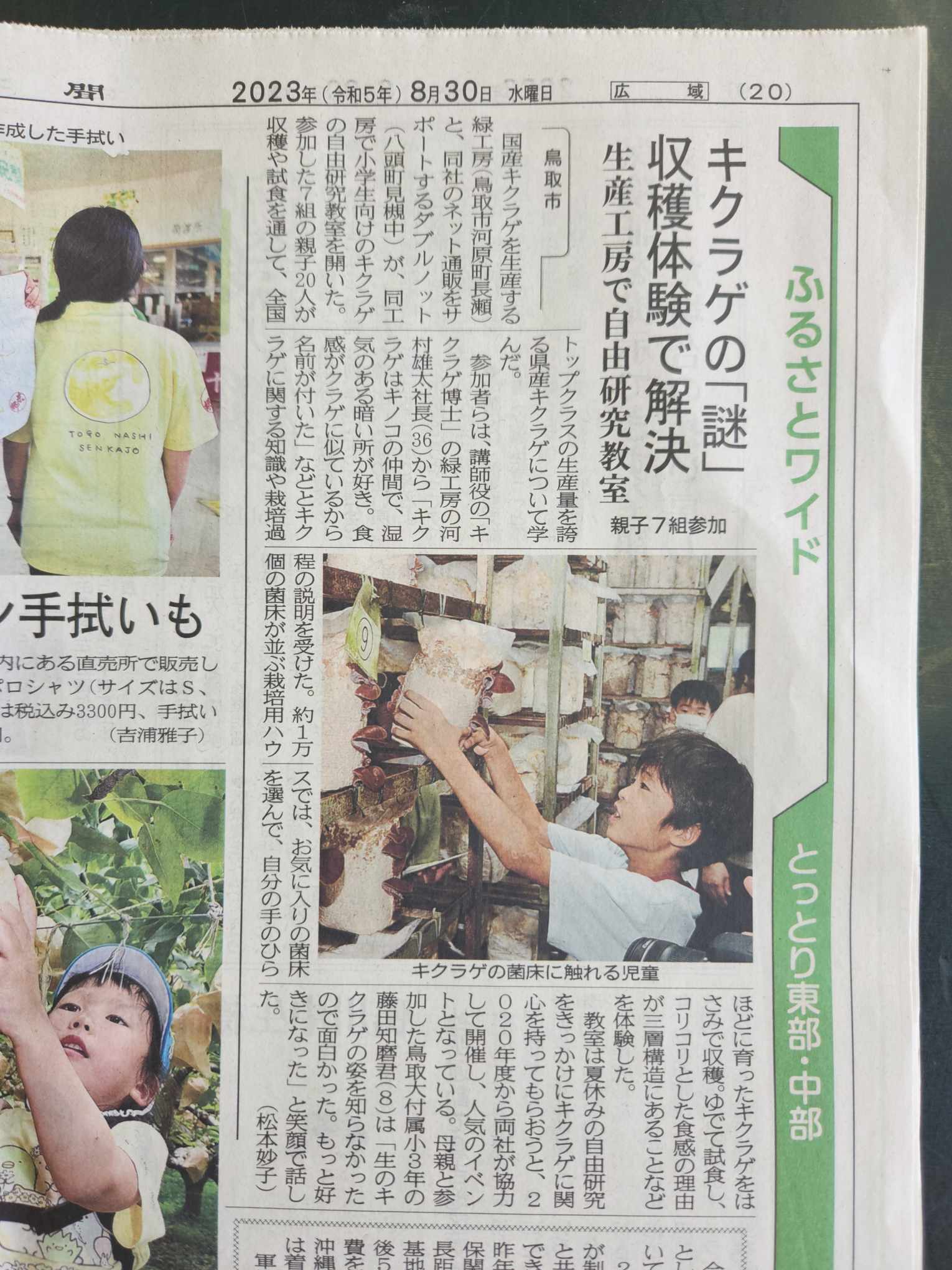 きくらげ自由研究イベントを日本海新聞にて取り上げていただきました