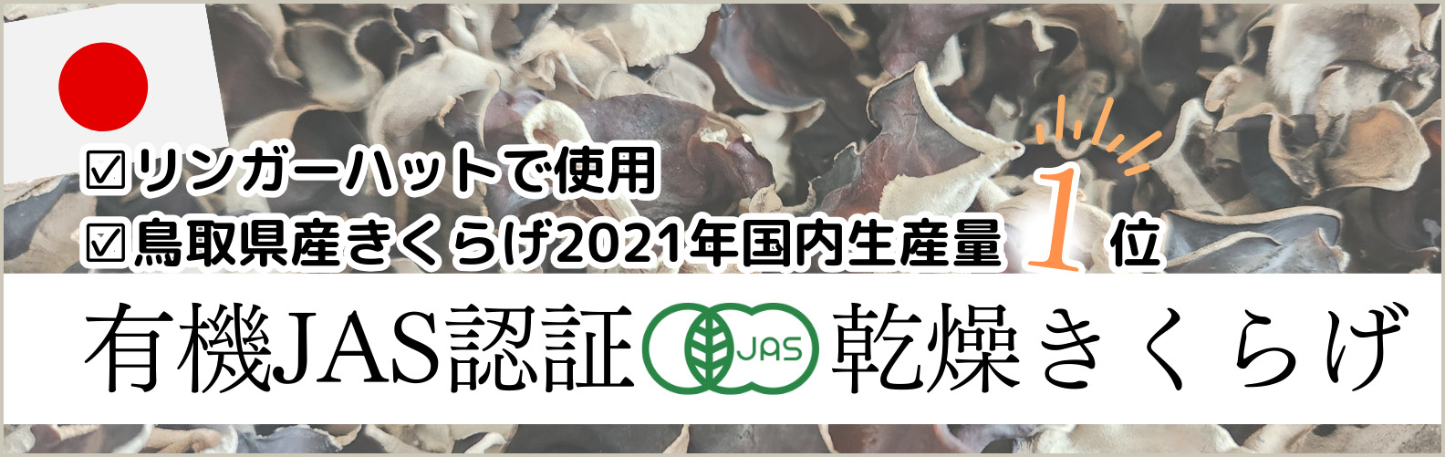 北の快適工房 リッドキララ10g 2本 、金券3,000円分 楽天市場】【LINE登録で300円クーポン】 銀製 白鷹 F 50g ( 光則