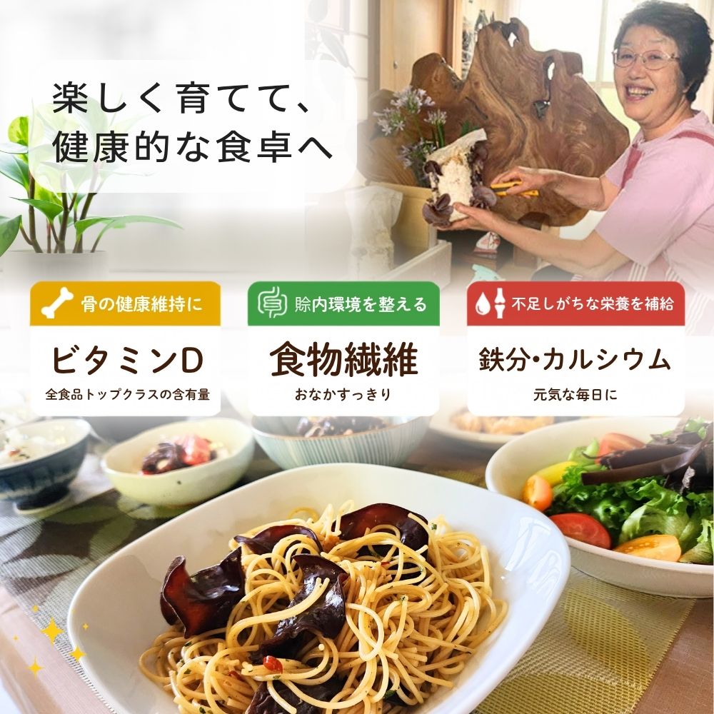 �ڤ�����ƤƷ�Ū�ʿ����