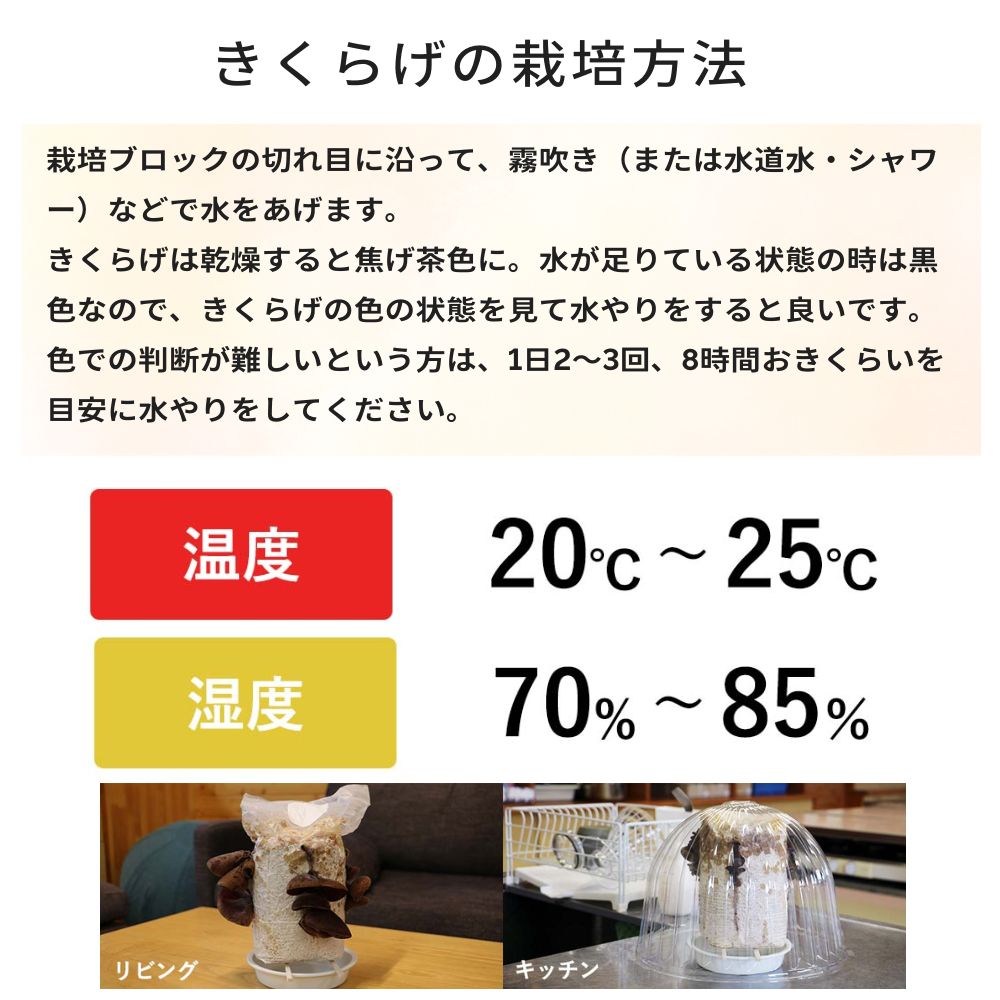 �����餲�κ�����ˡ
