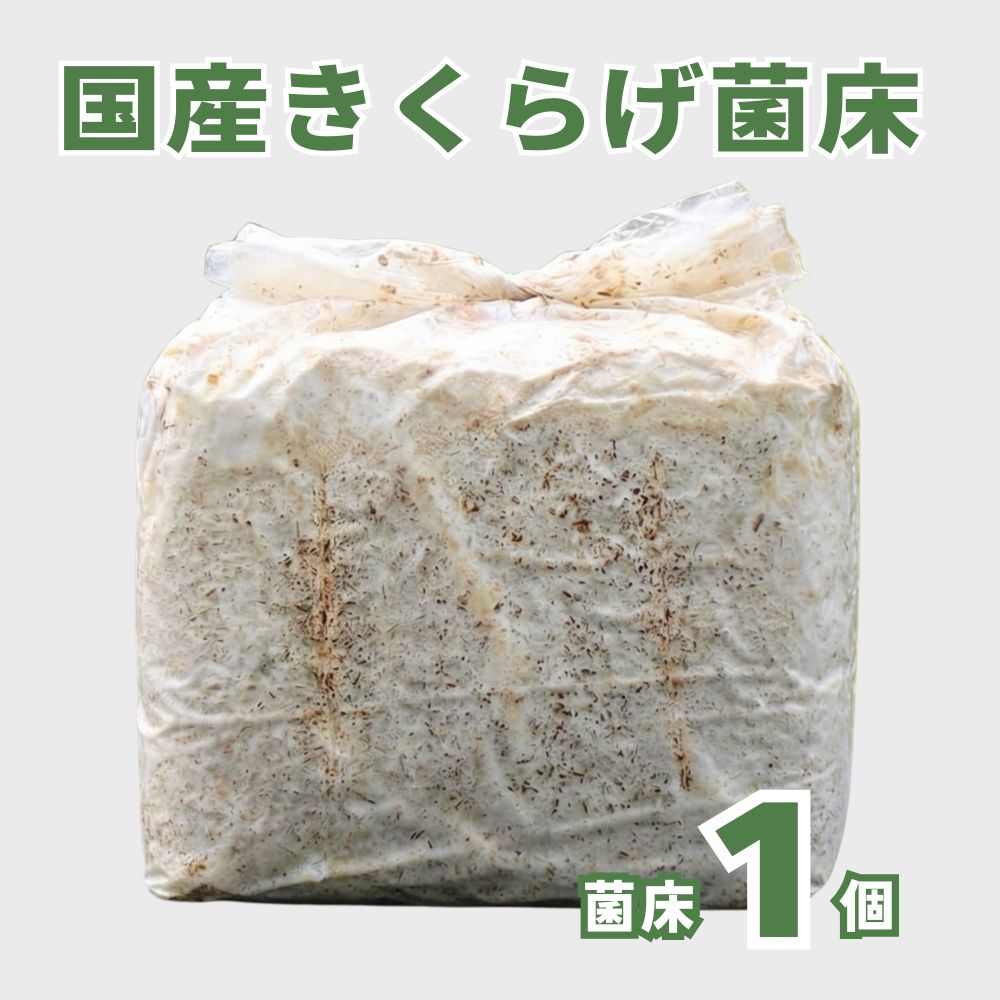 �񻺤����餲�ݾ�1��