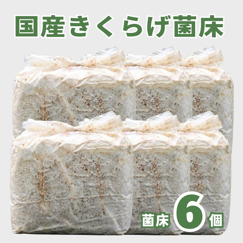 �񻺤����餲�ݾ�6�ĥ��å�